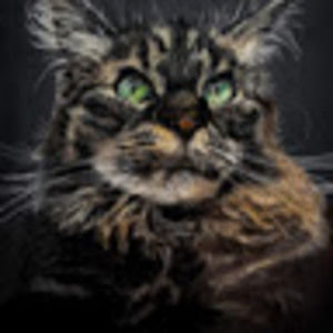 Meet your Posher, Abbagail